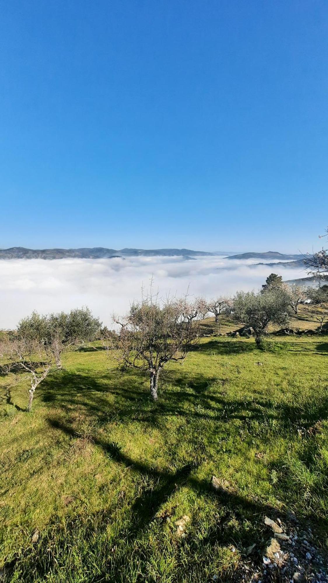Ferradosa Guesthouse Vale de Figueira 외부 사진
