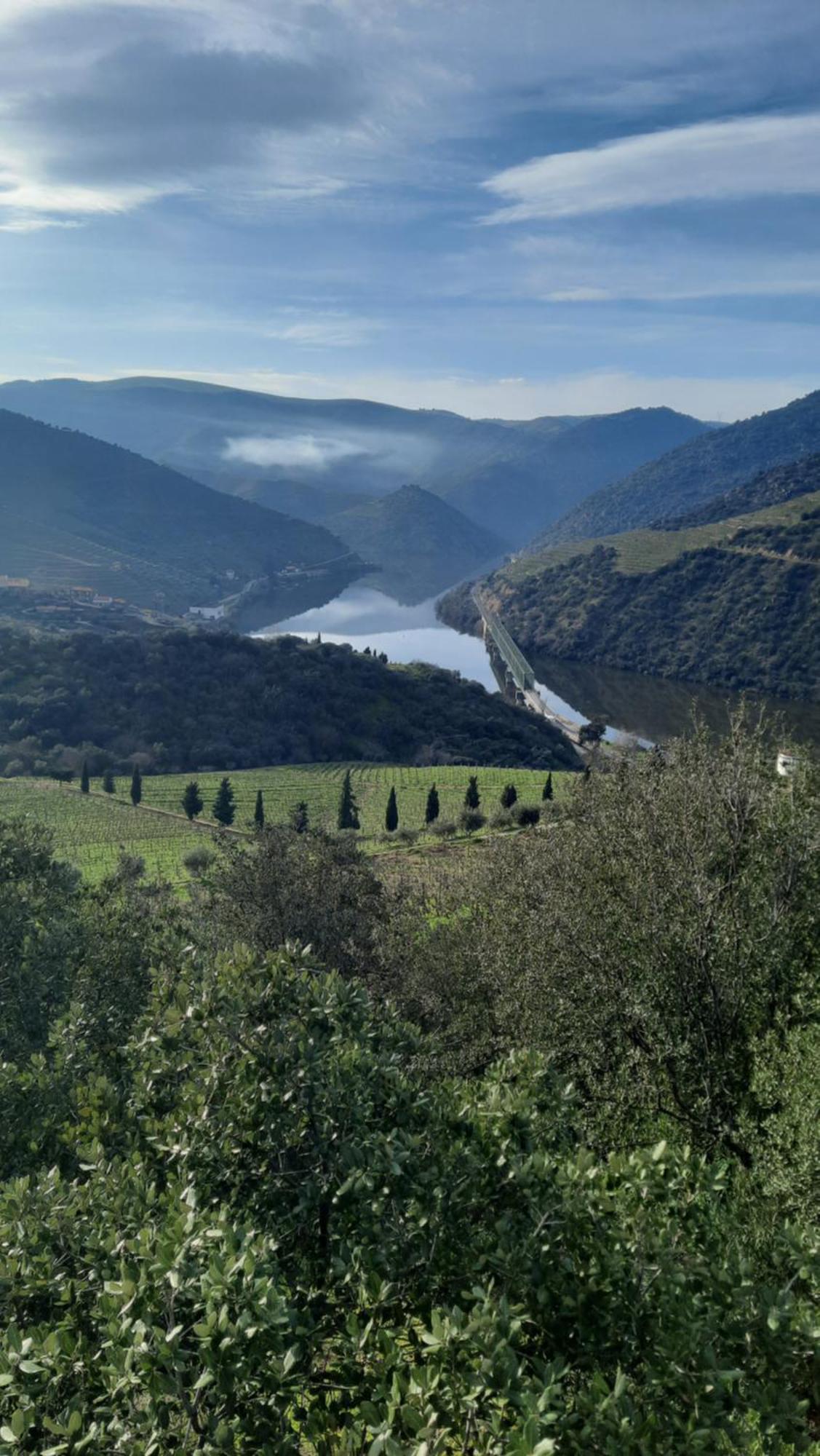 Ferradosa Guesthouse Vale de Figueira 외부 사진